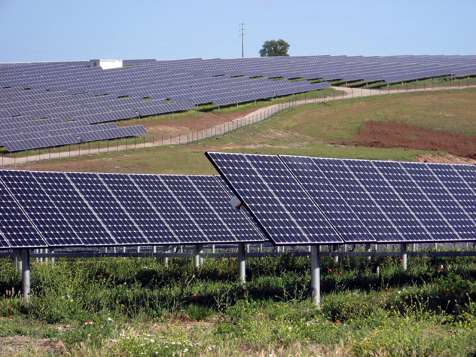 Geniş bir arazide sıralanmış güneş enerjisi panelleri