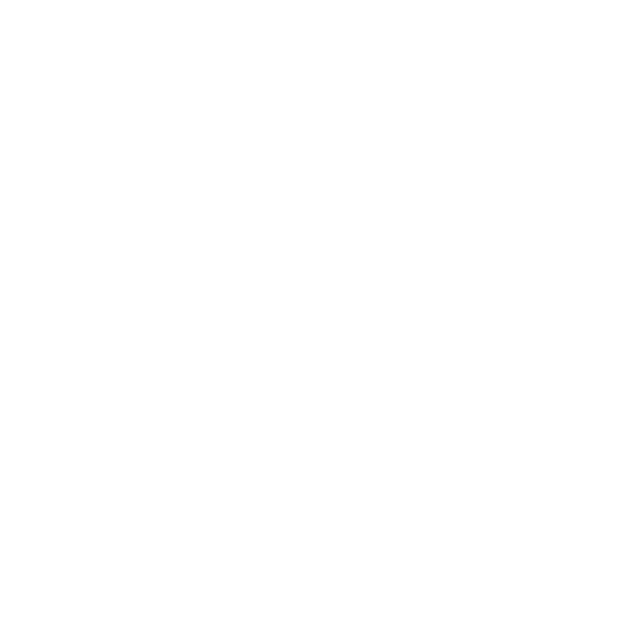 Raiz Holding