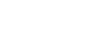 Raiz Varlık Yatarım Holding